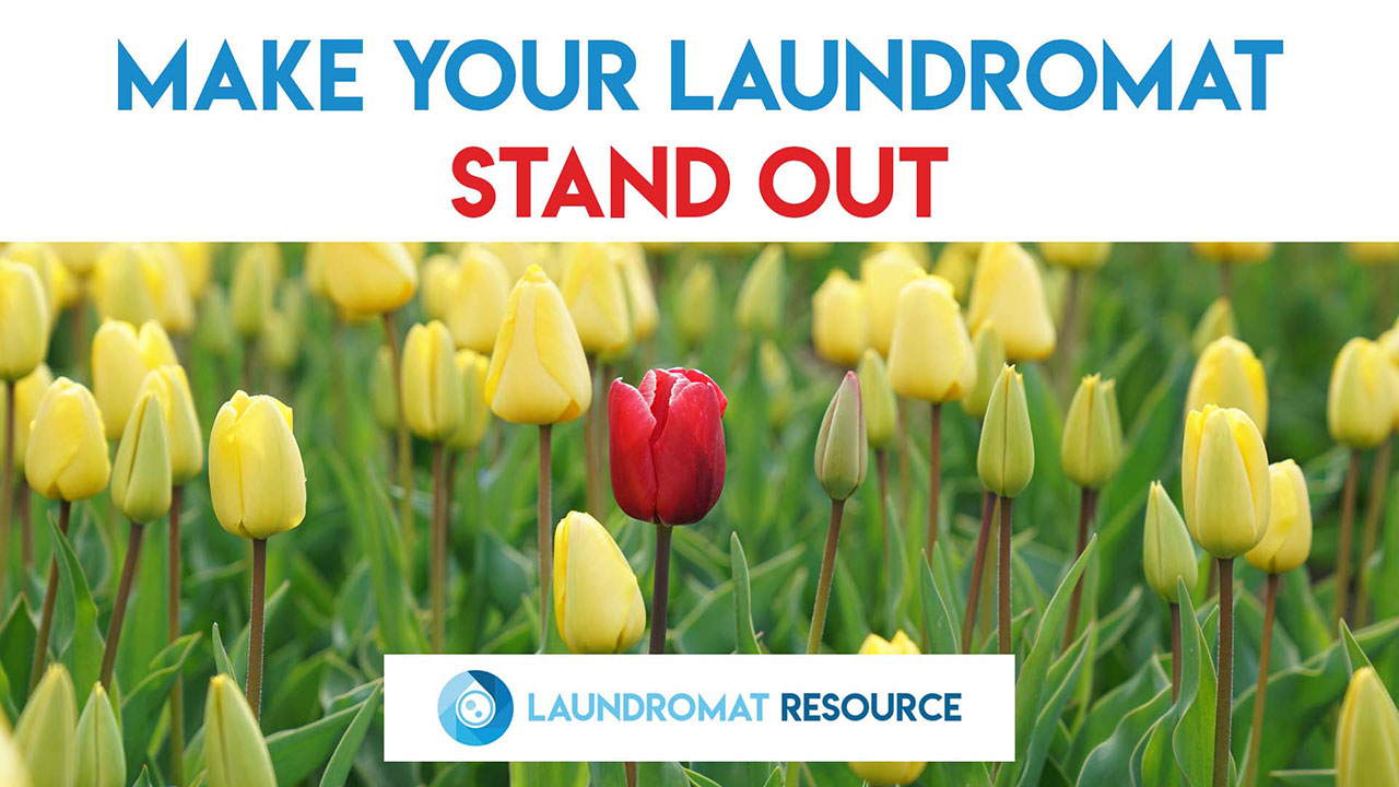 Unique Business Ideas to Help Your Laundromat Stand Out